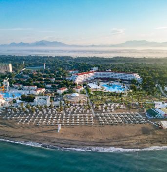 SELECTUM NOA BELEK